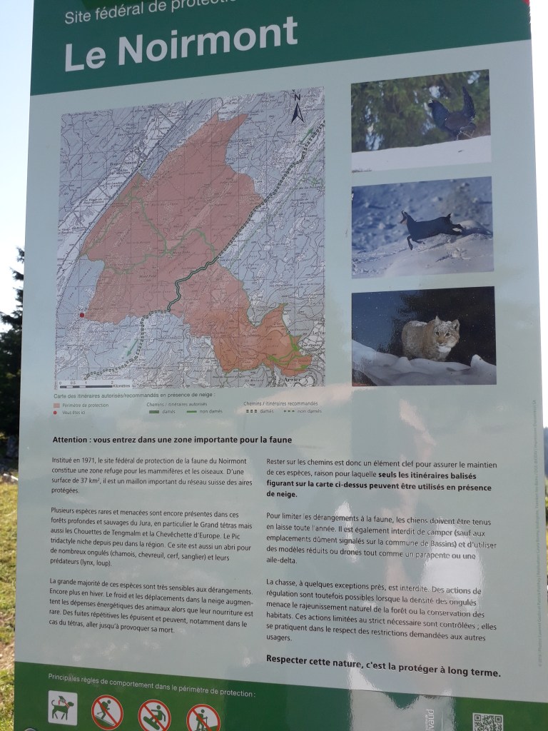 Photo of Noirmont Wildlife sign showing types of wildlife found in the region